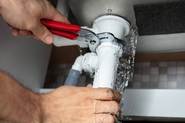 Best Residential water damage restoration  in Bridgeville, DE