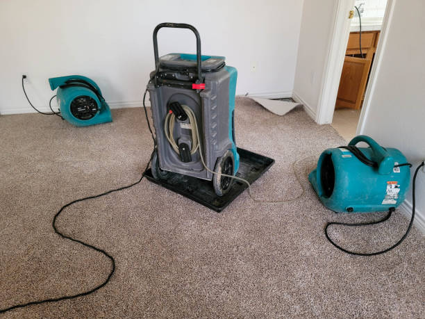 Best 24-hour water damage restoration  in Bridgeville, DE