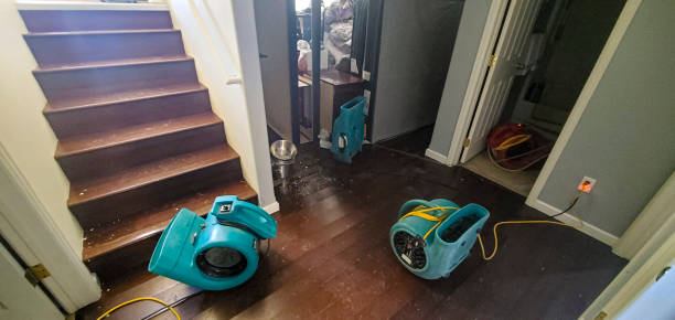 Best Professional water damage repair  in Bridgeville, DE