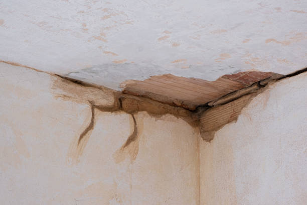 Best Emergency water damage restoration  in Bridgeville, DE