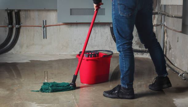 Best Flood damage cleanup  in Bridgeville, DE