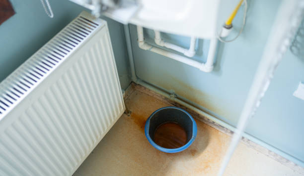 Best Residential water damage restoration  in Bridgeville, DE